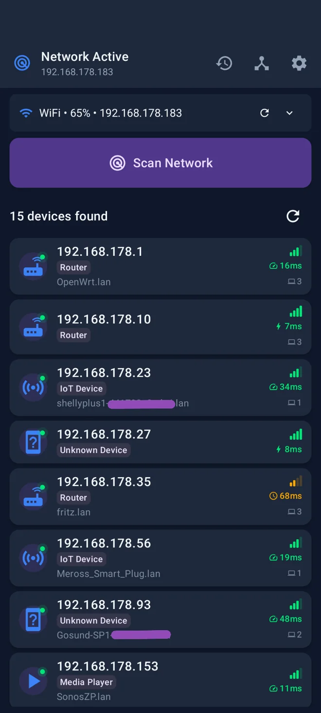 NetRadar Pro Geräteliste mit 15 gefundenen Geräten